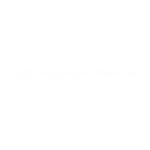 Burgerstein Vitamine Logo