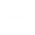 MSReinsurance Polar Logo